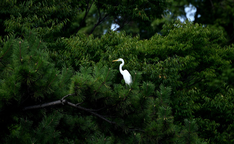 D5003_075502