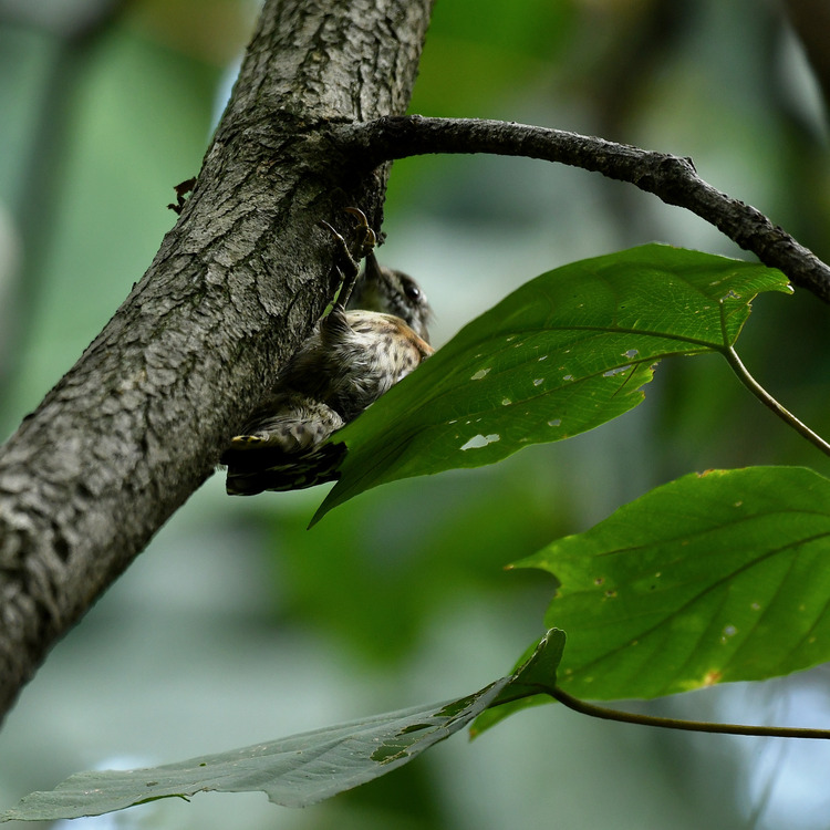 D5003_079998
