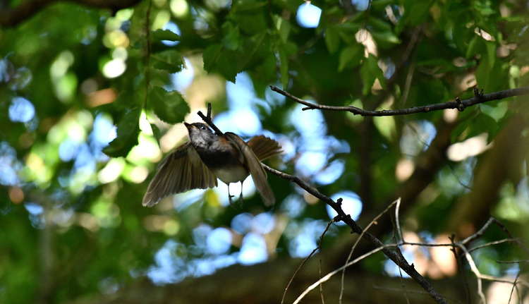 D5003_081926