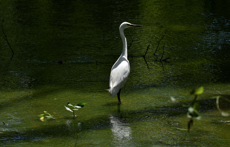 D5003_081255