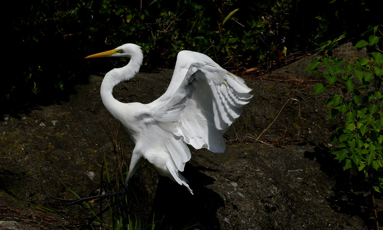 D5003_075249