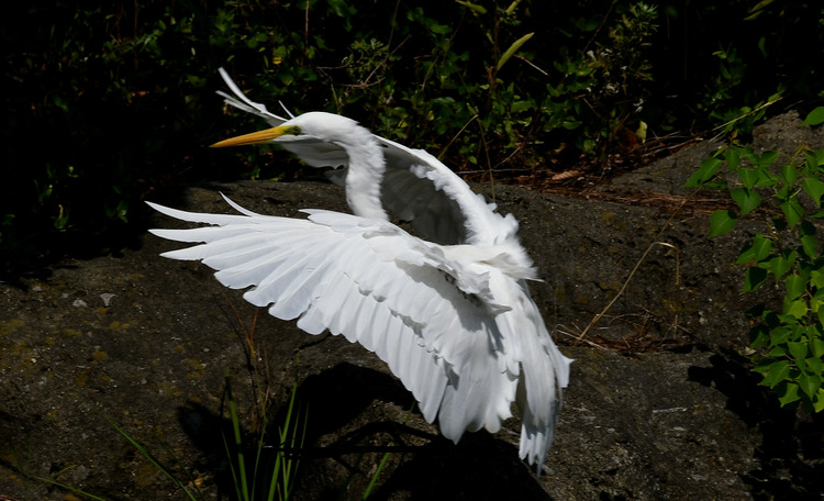 D5003_075248