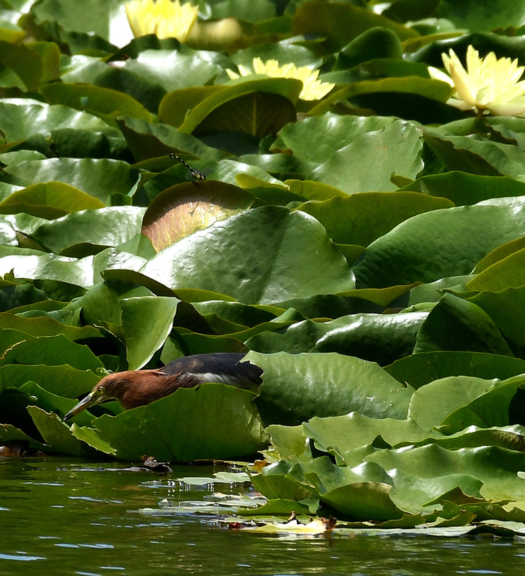 D5003_079034
