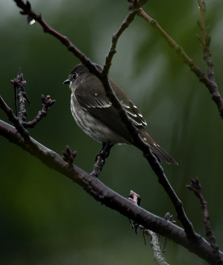 D5003_108712