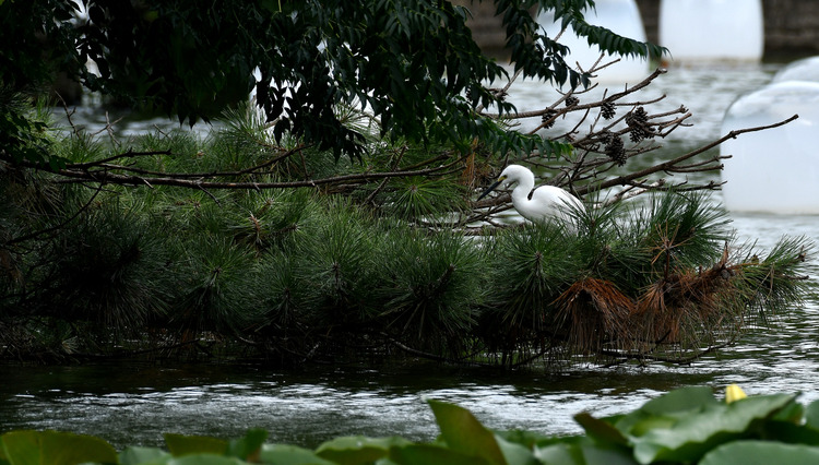 D5003_080133