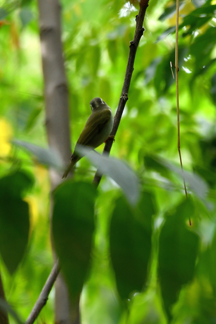 D5003_079591