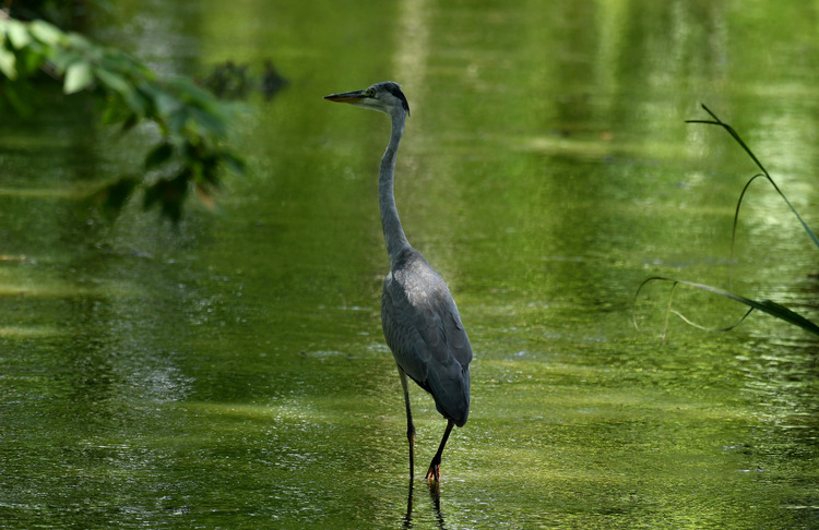 D5003_078833