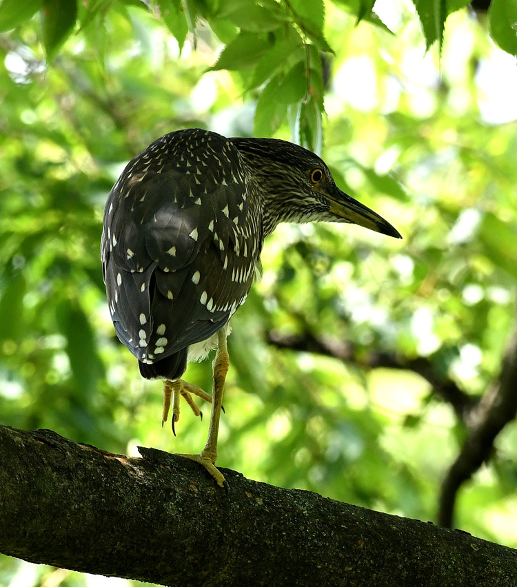 D5003_078220