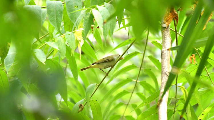 D5003_080491