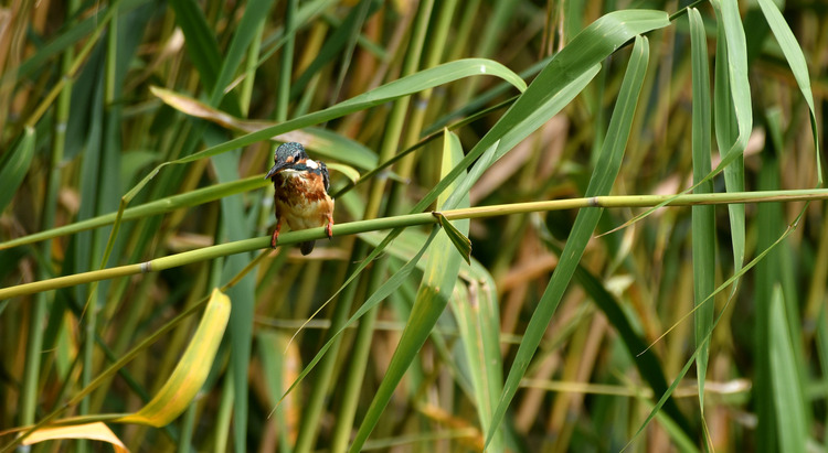 D5003_083750