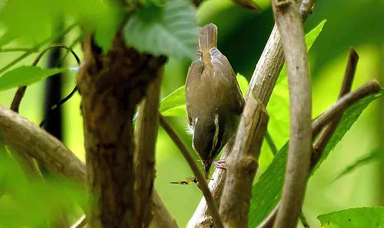 D5003_083851