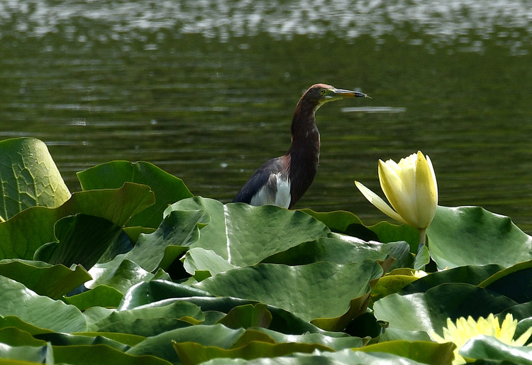 D5003_077283