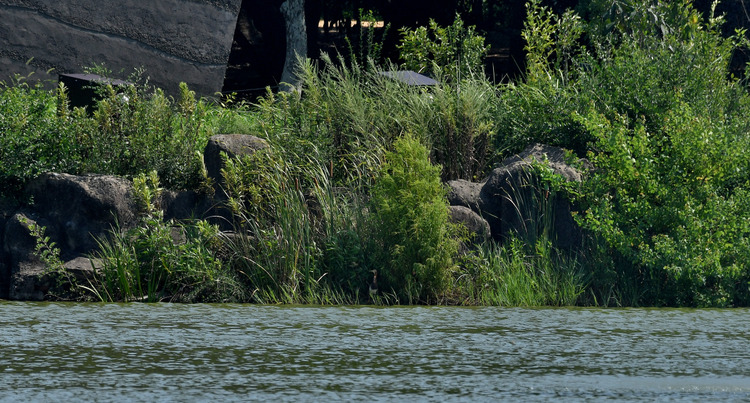 D5003_077684