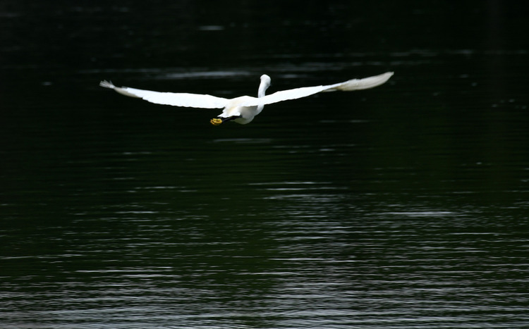 D5003_083237
