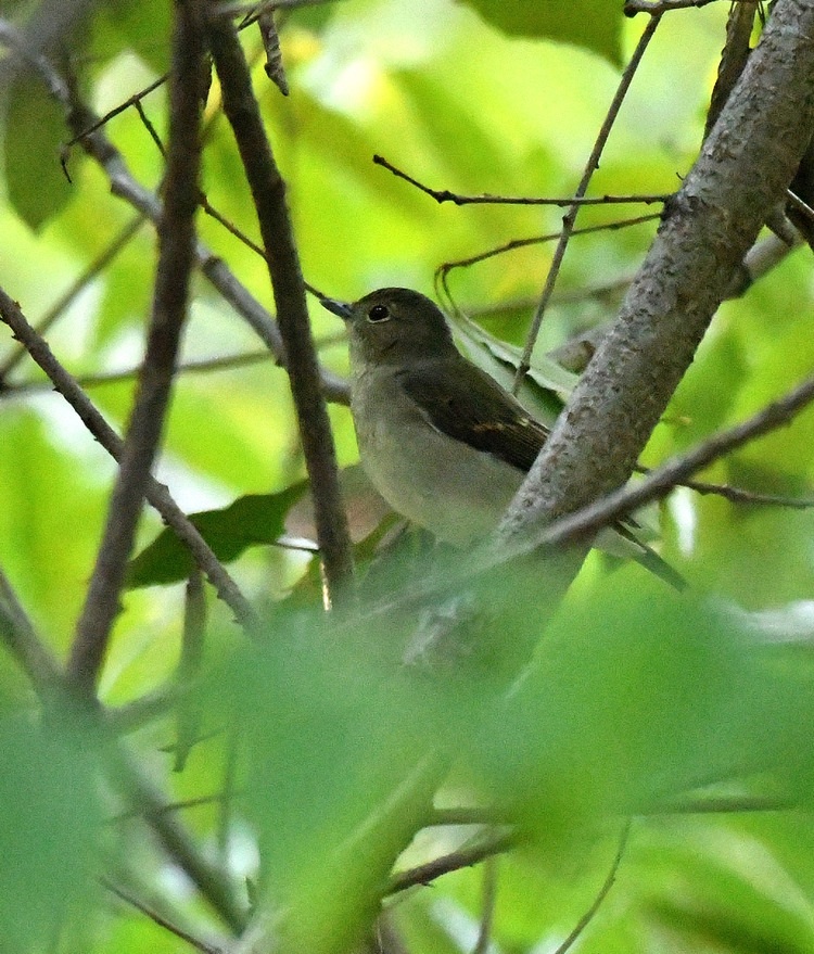 D5003_116863