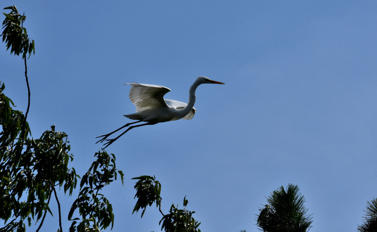 D5003_078149a