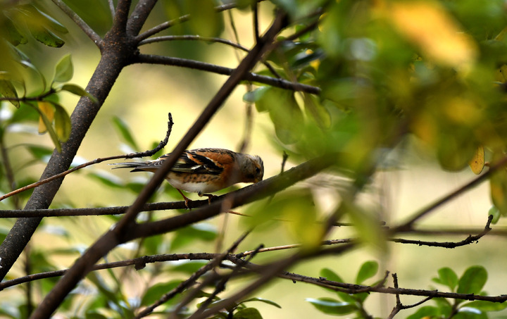 D5003_011568
