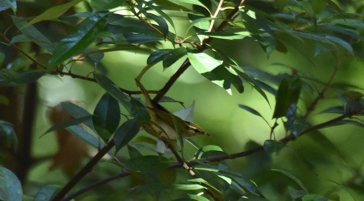 D7.2K3_078656