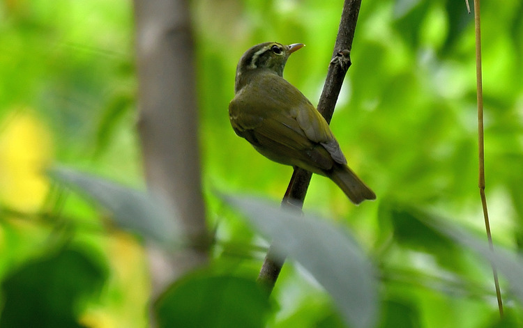 D5003_079599_01