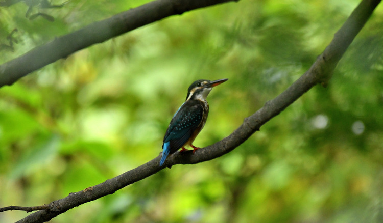 D5003_082956