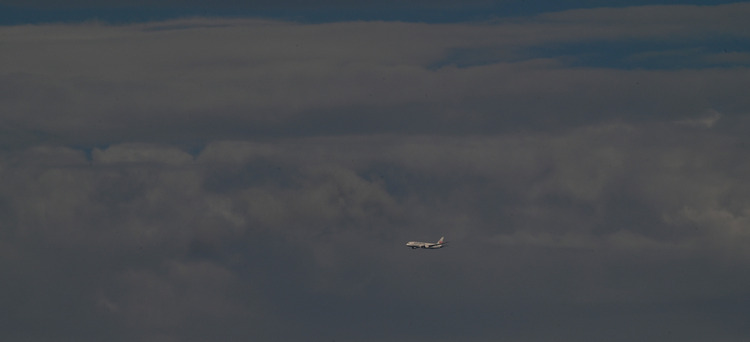 Z6ii1_103070