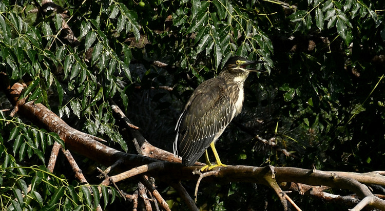 D5003_085991