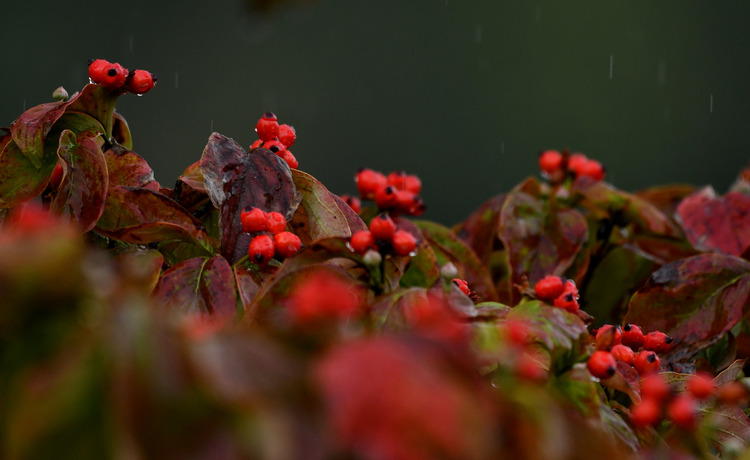 D5003_112651