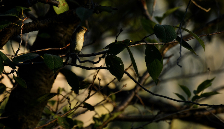 D5003_112567