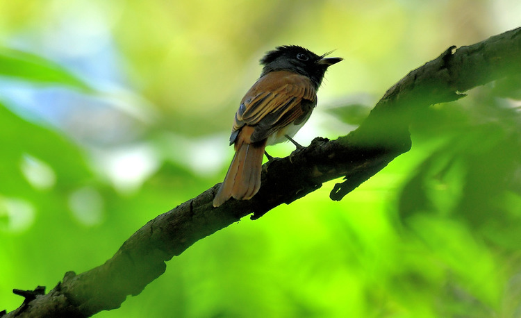 D5003_079239_01