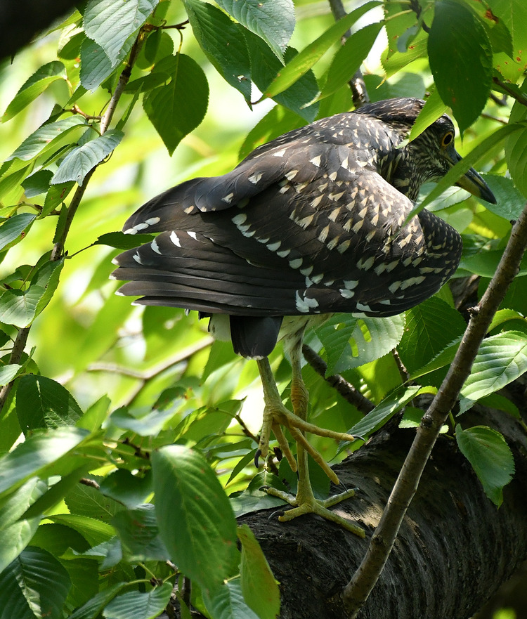 D5003_076069