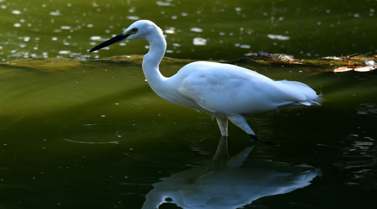 D5003_082338