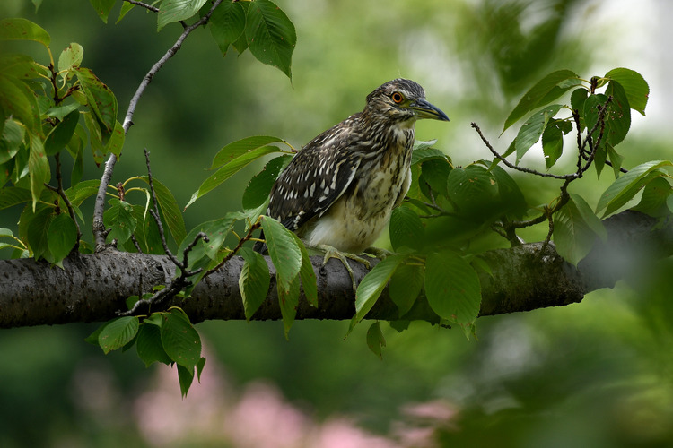 D5003_080723