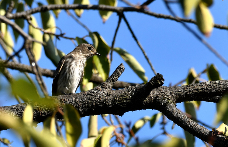 D5003_112458