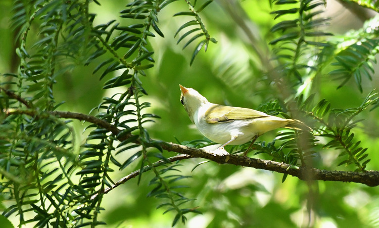 D5003_081846
