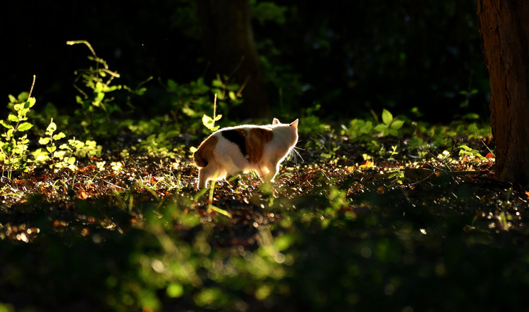 D5003_111357