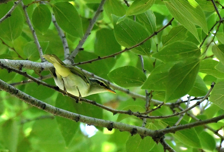 D5003_076877