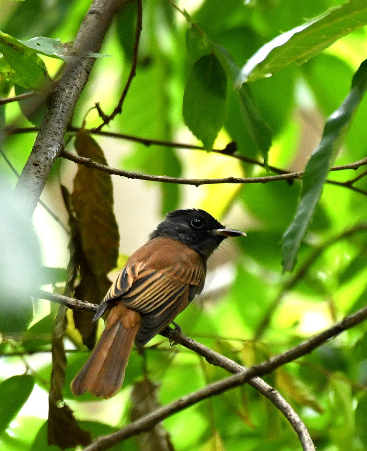D5003_080359