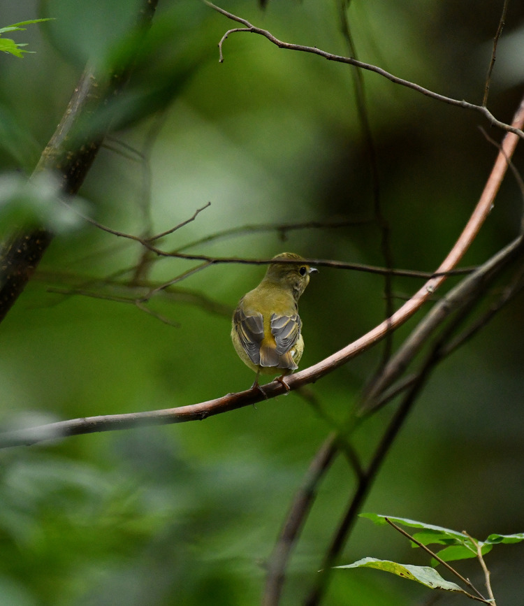 D5003_107540