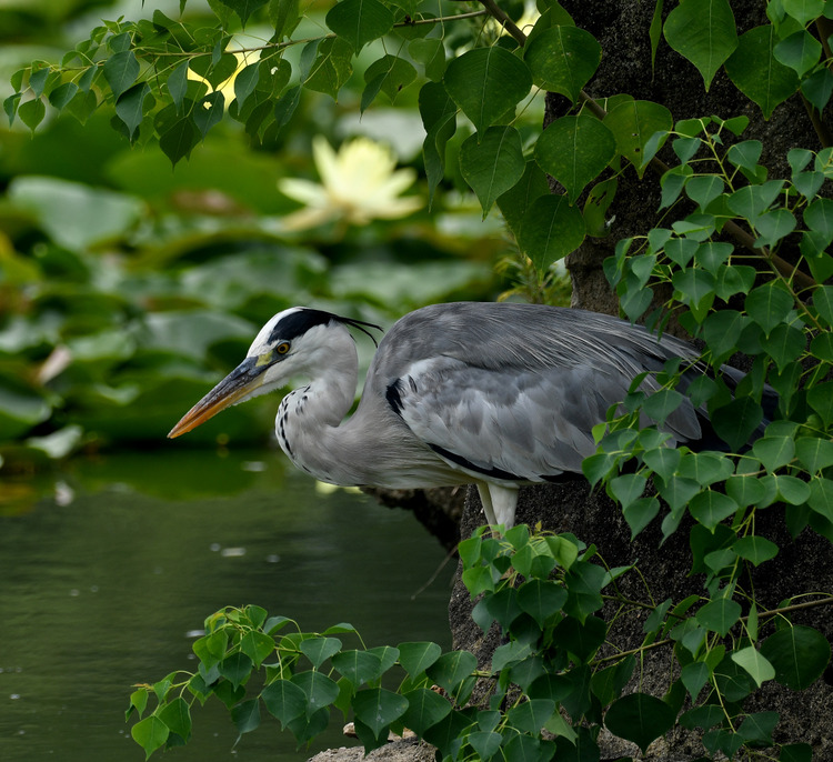 D5003_083813