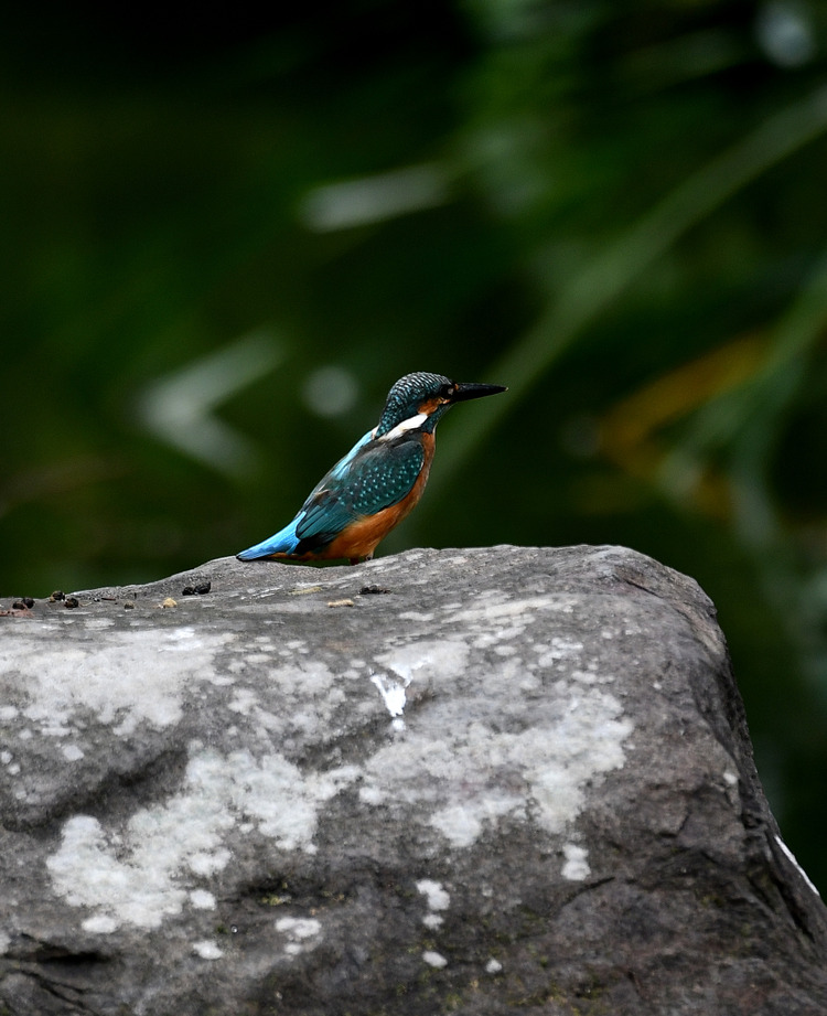 D5003_081541_01