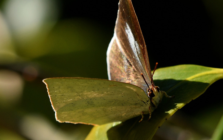 D5003_118536