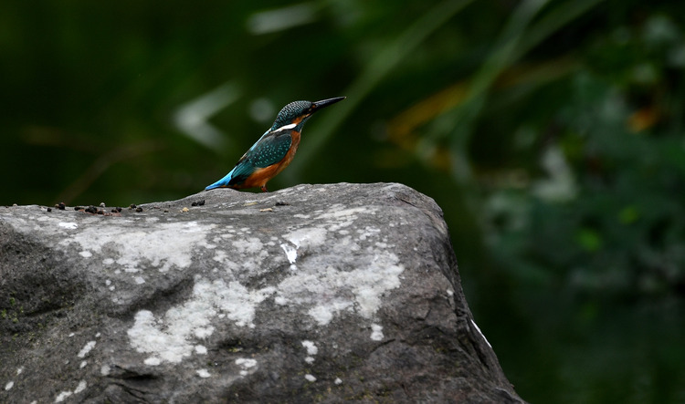 D5003_081537_01