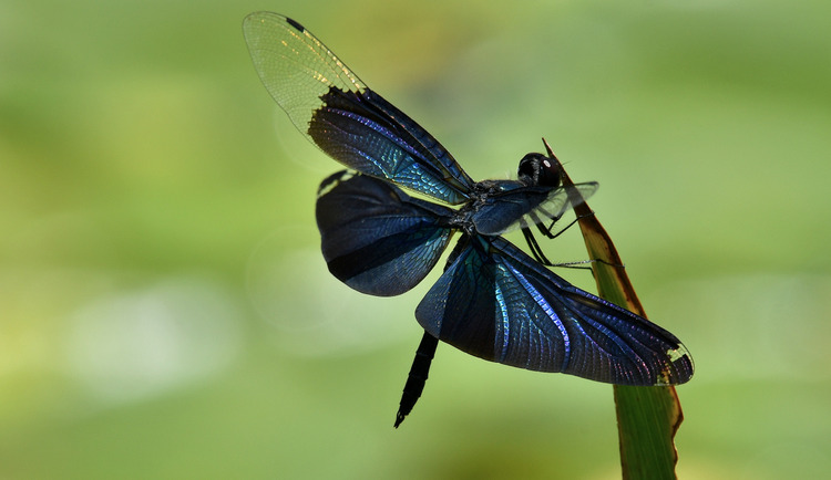 D5003_078428