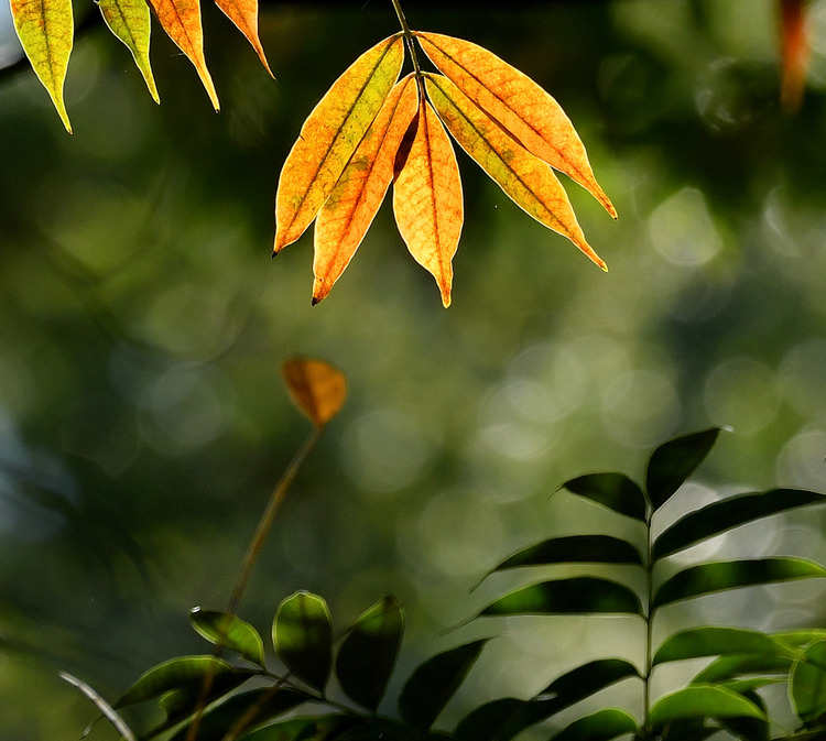 D5003_116510_01