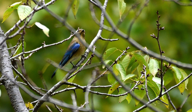 D5003_106354