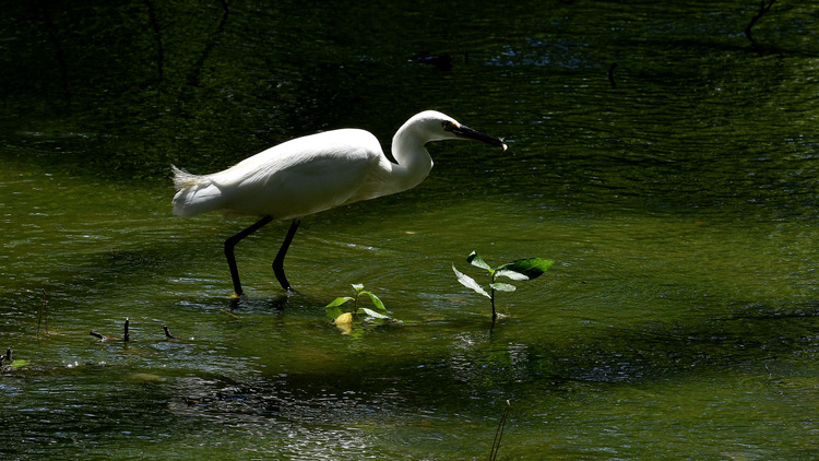 D5003_081252