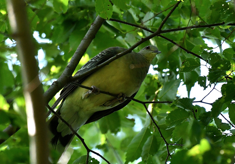 D5003_081892