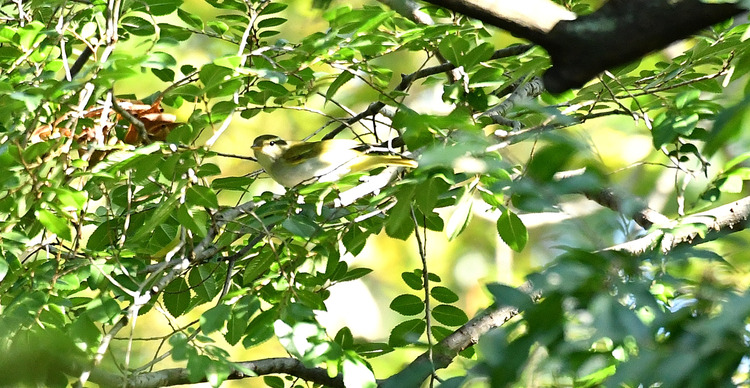 D5003_082112