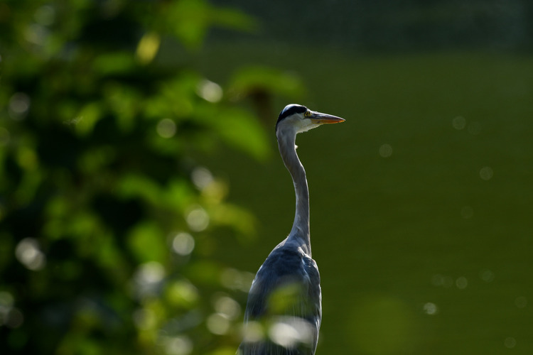 D5003_085208