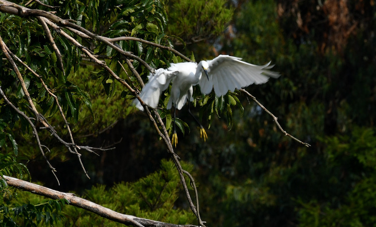 D5003_080072
